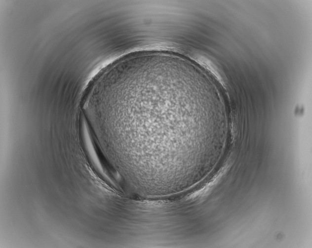 X0000090770781200708101809