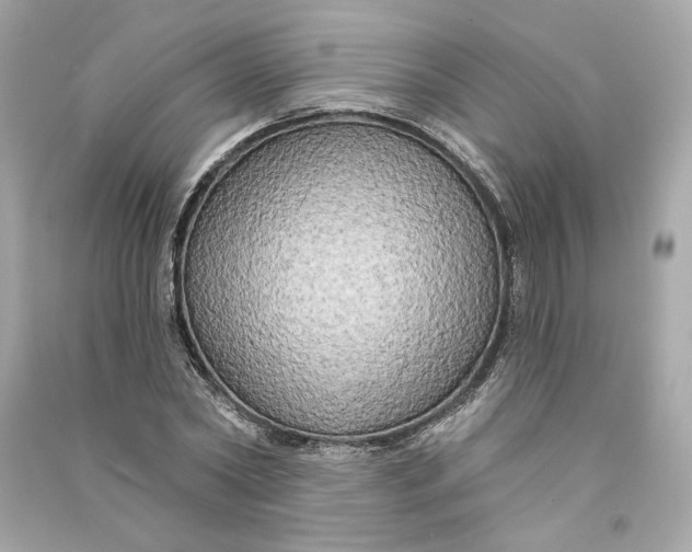 X0000090770782200708101809