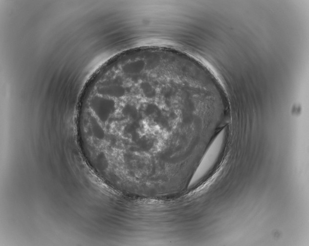 X0000090770783200708101809