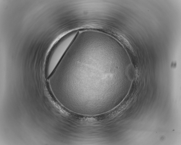 X0000090770784200708101809