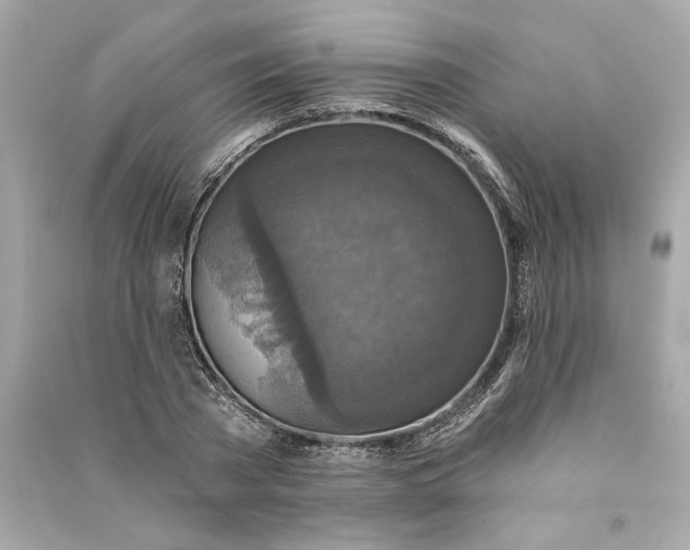 X0000090770785200708101809