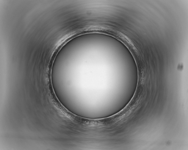 X0000090770786200708101809