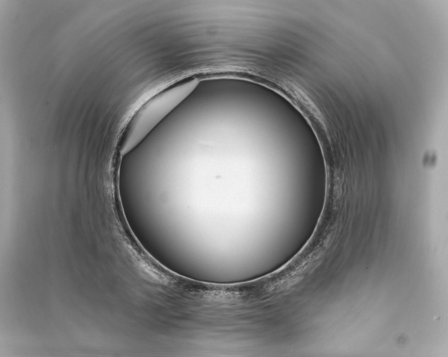 X0000090770789200708101809