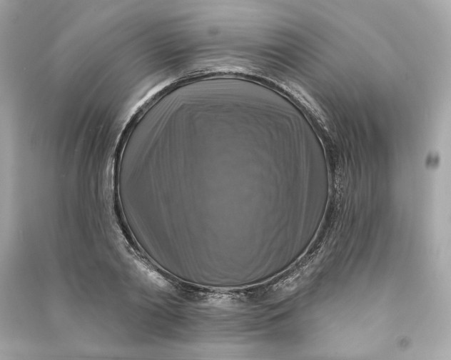 X0000090770790200708101809