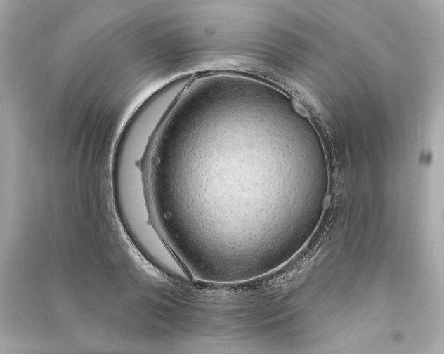 X0000090770792200708101809