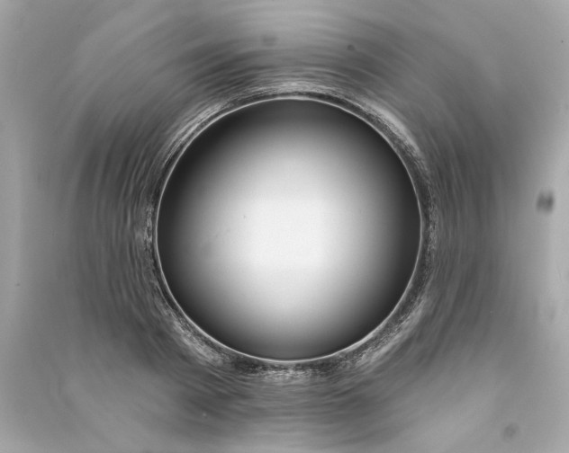 X0000090770793200708101809