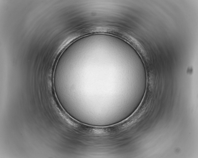 X0000090770794200708101809