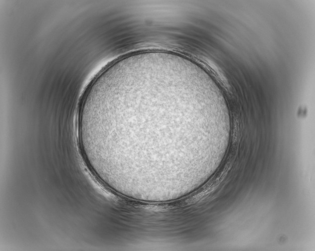 X0000090770796200708101809