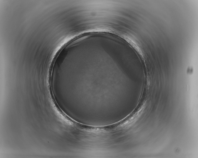 X0000090770797200708101809