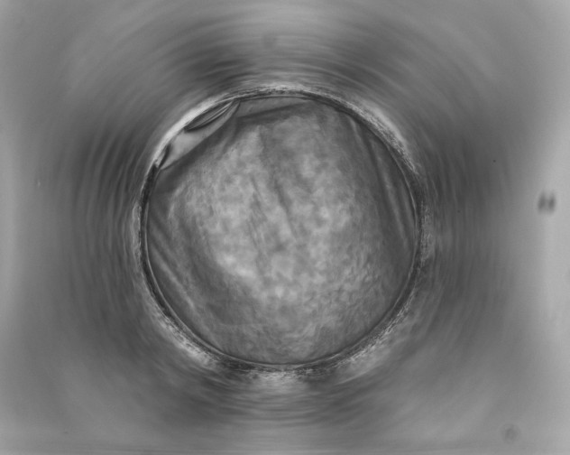 X0000090770798200708101809