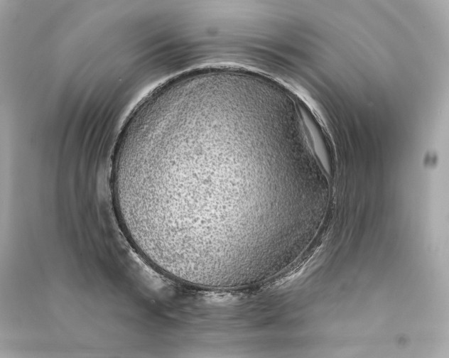 X0000090770799200708101809