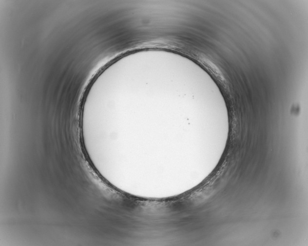 X0000090770800200708101809