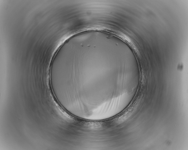 X0000090770802200708101809
