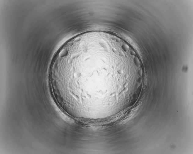 X0000090770803200708101809