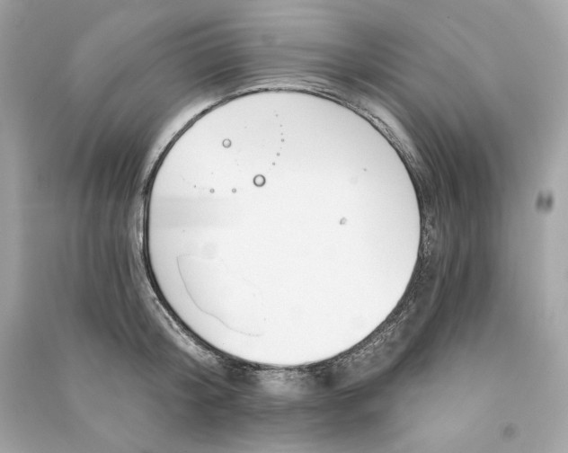 X0000090770804200708101809