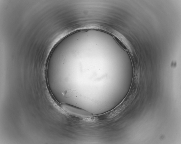 X0000090770805200708101809