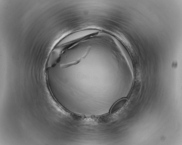 X0000090770806200708101809