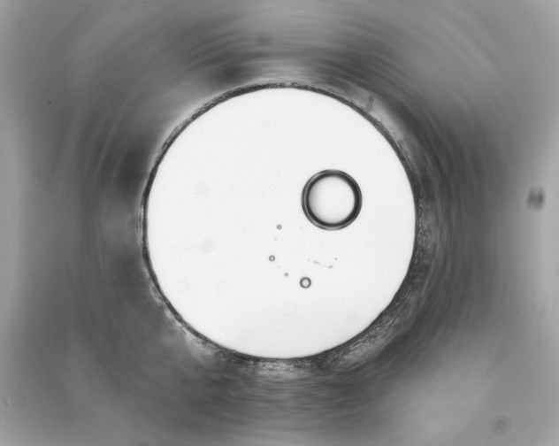 X0000090770807200708101809