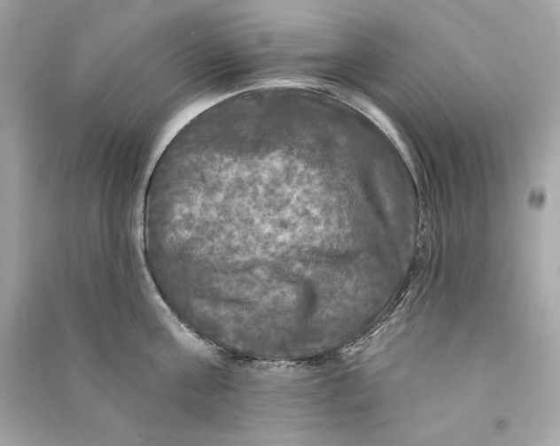 X0000090770811200708101808
