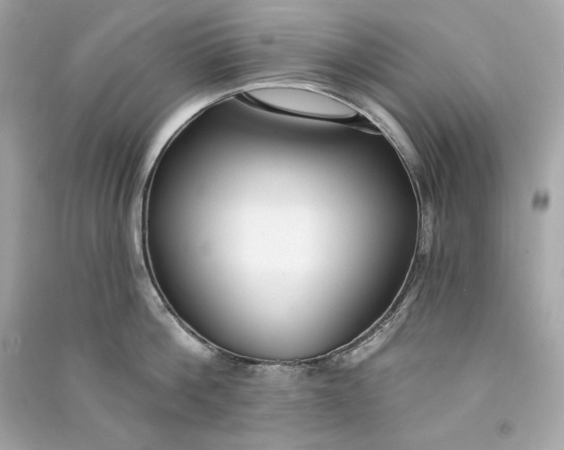 X0000090770812200708101808