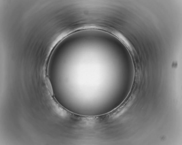 X0000090770813200708101808