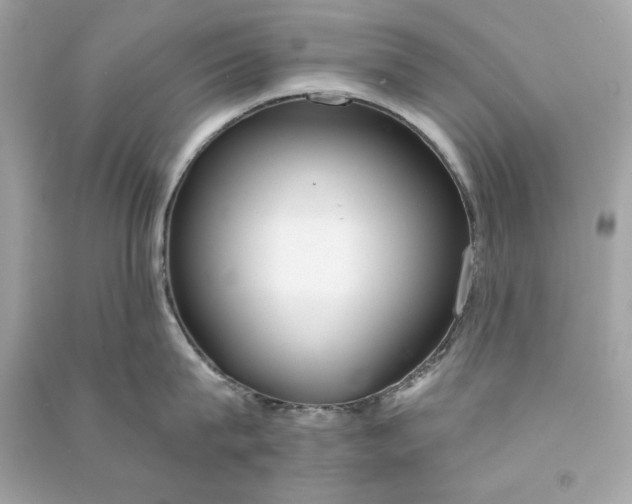 X0000090770815200708101808