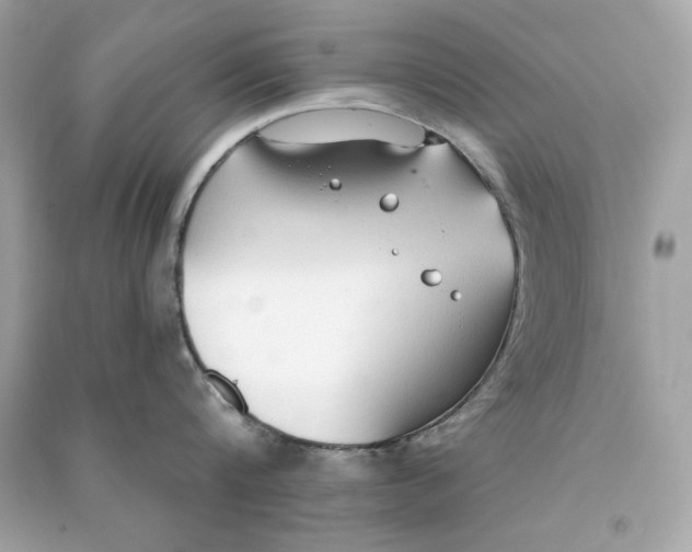 X0000090770816200708101808