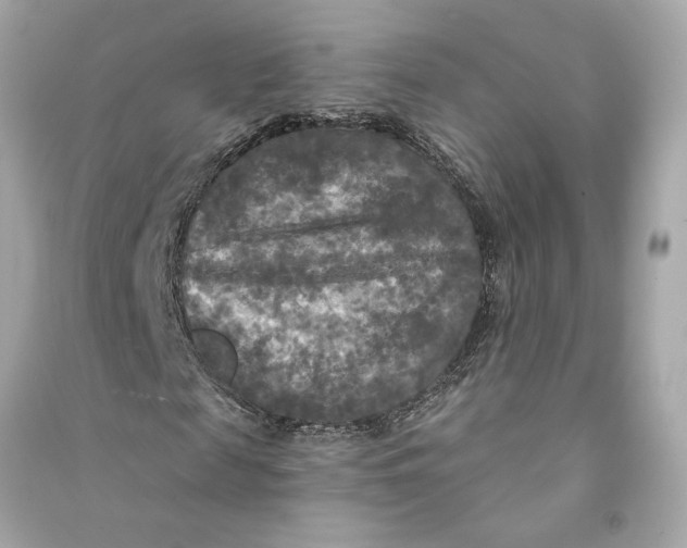 X0000090770817200708101808