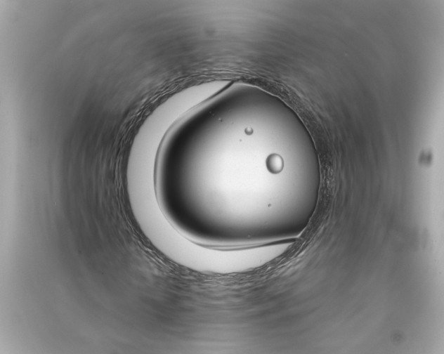 X0000090770818200708101808