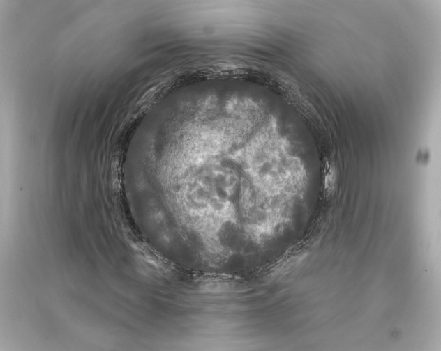 X0000090770819200708101808