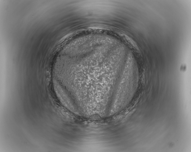 X0000090770821200708101808