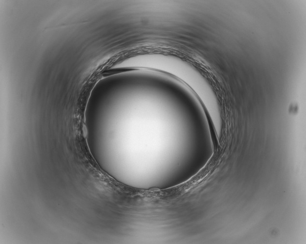 X0000090770822200708101808