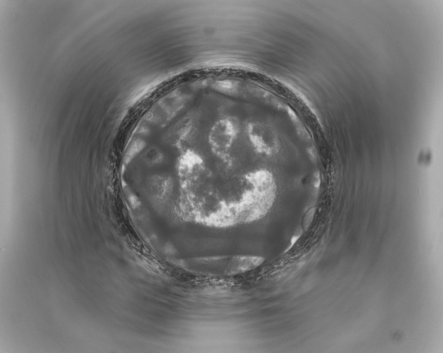 X0000090770823200708101808