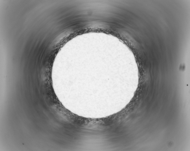 X0000090770824200708101808