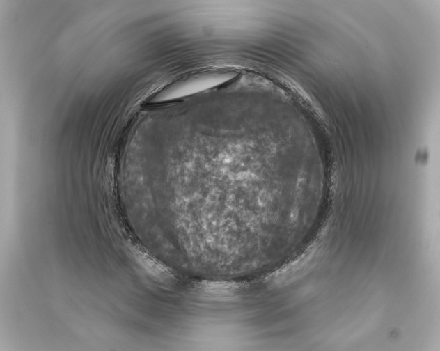 X0000090770825200708101808