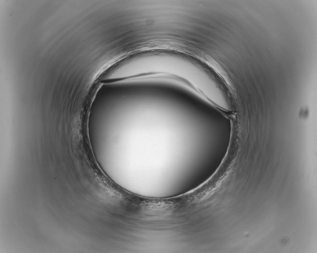 X0000090770826200708101808