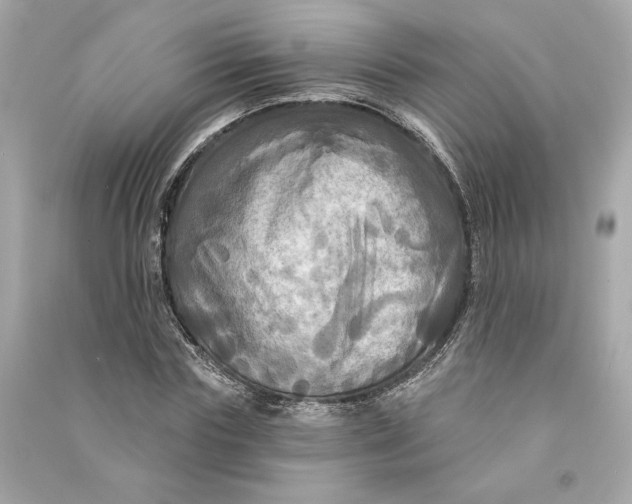 X0000090770827200708101808