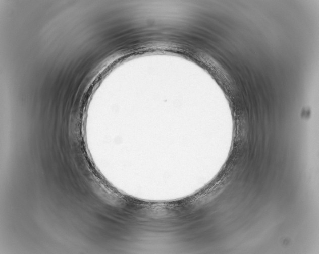 X0000090770828200708101808
