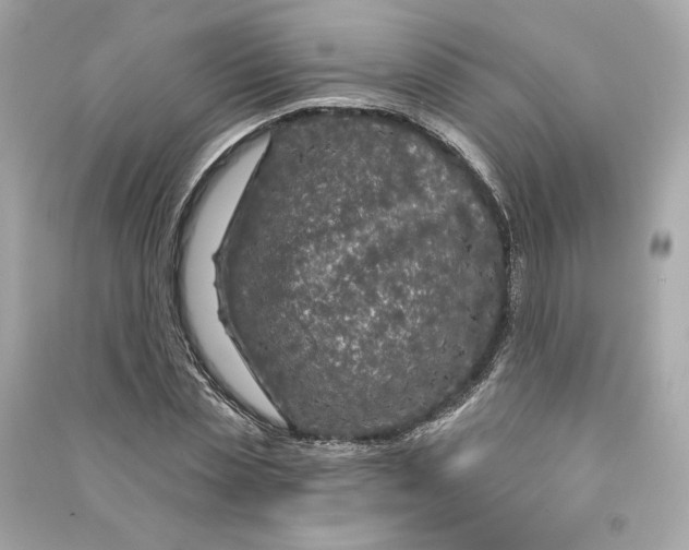 X0000090770829200708101808