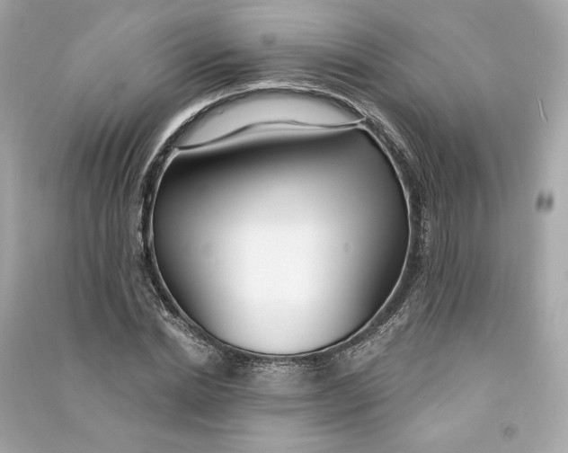 X0000090770830200708101808