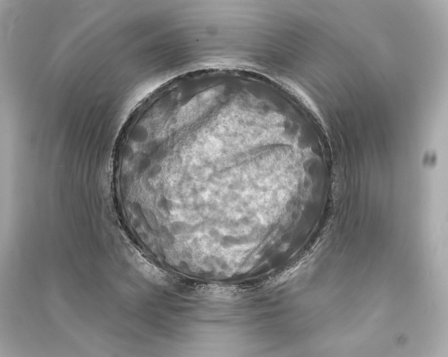 X0000090770831200708101808