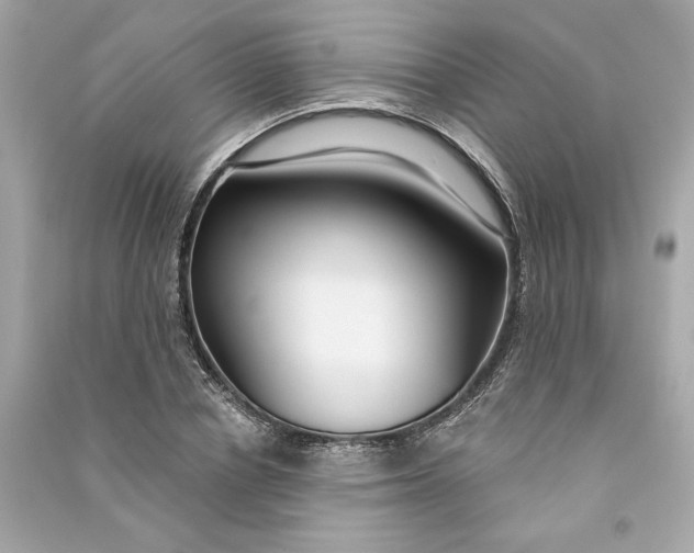 X0000090770834200708101808