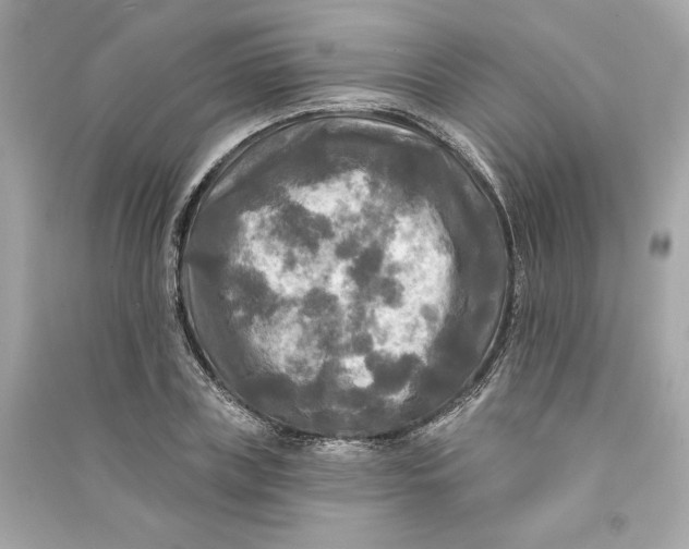 X0000090770835200708101808