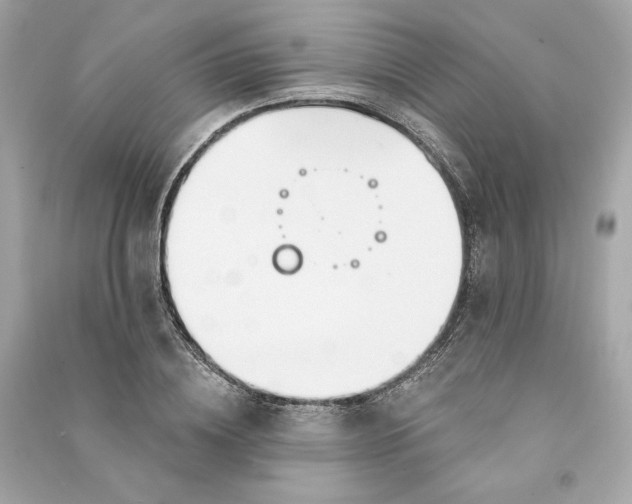 X0000090770836200708101808