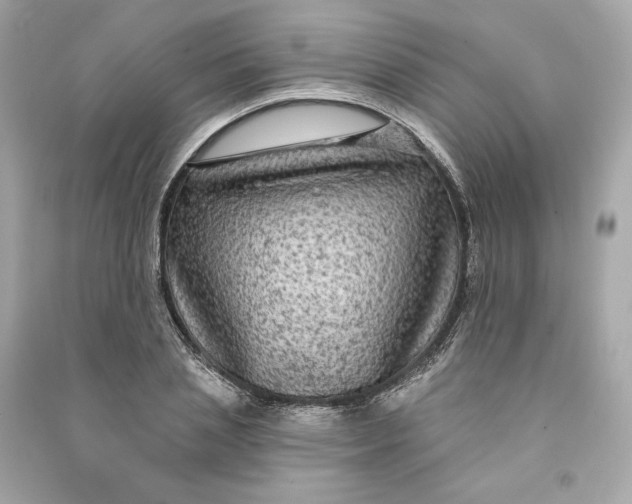 X0000090770837200708101808