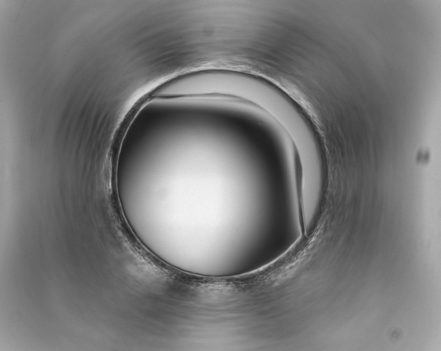 X0000090770838200708101808