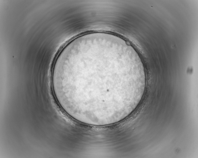 X0000090770840200708101808