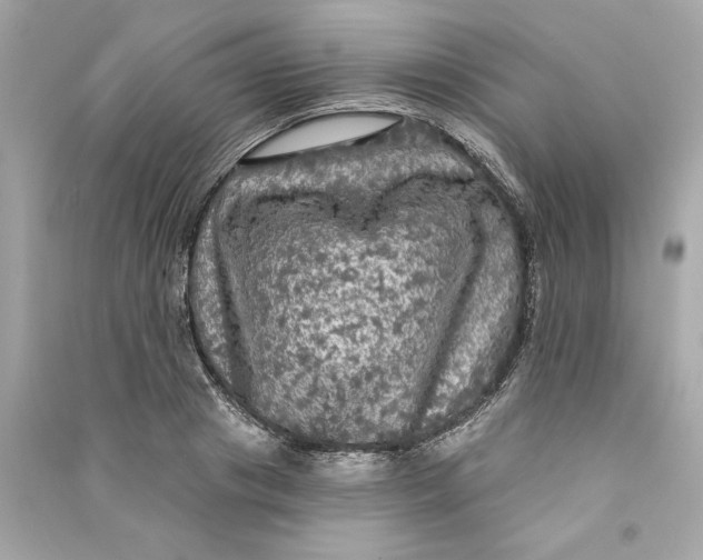 X0000090770841200708101808