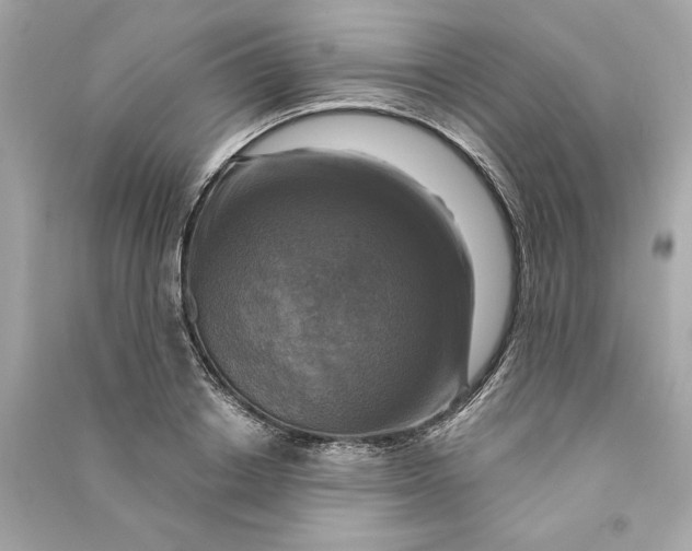 X0000090770842200708101808