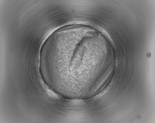 X0000090770844200708101808